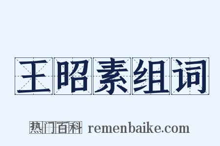 王昭素组词是什么意思的图片